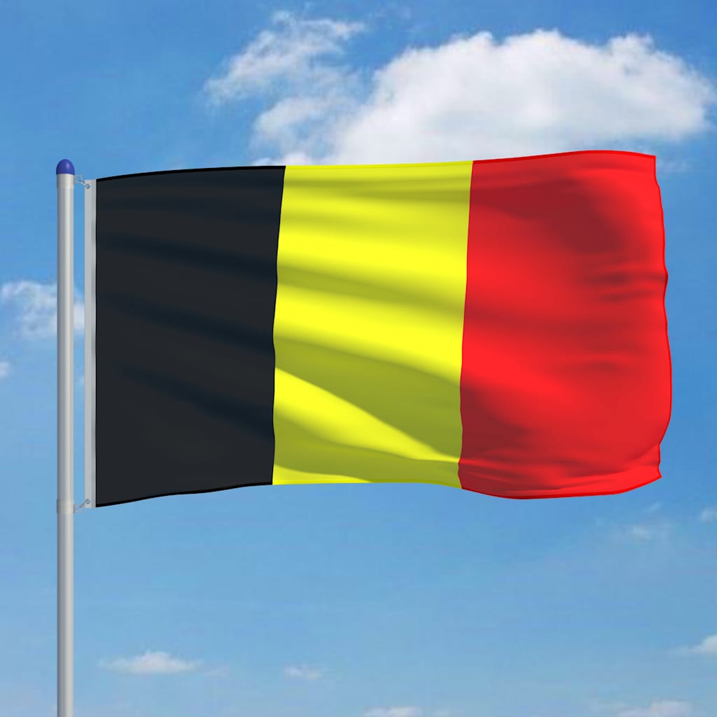Bandiera del Belgio con Pennone in Alluminio 6 m