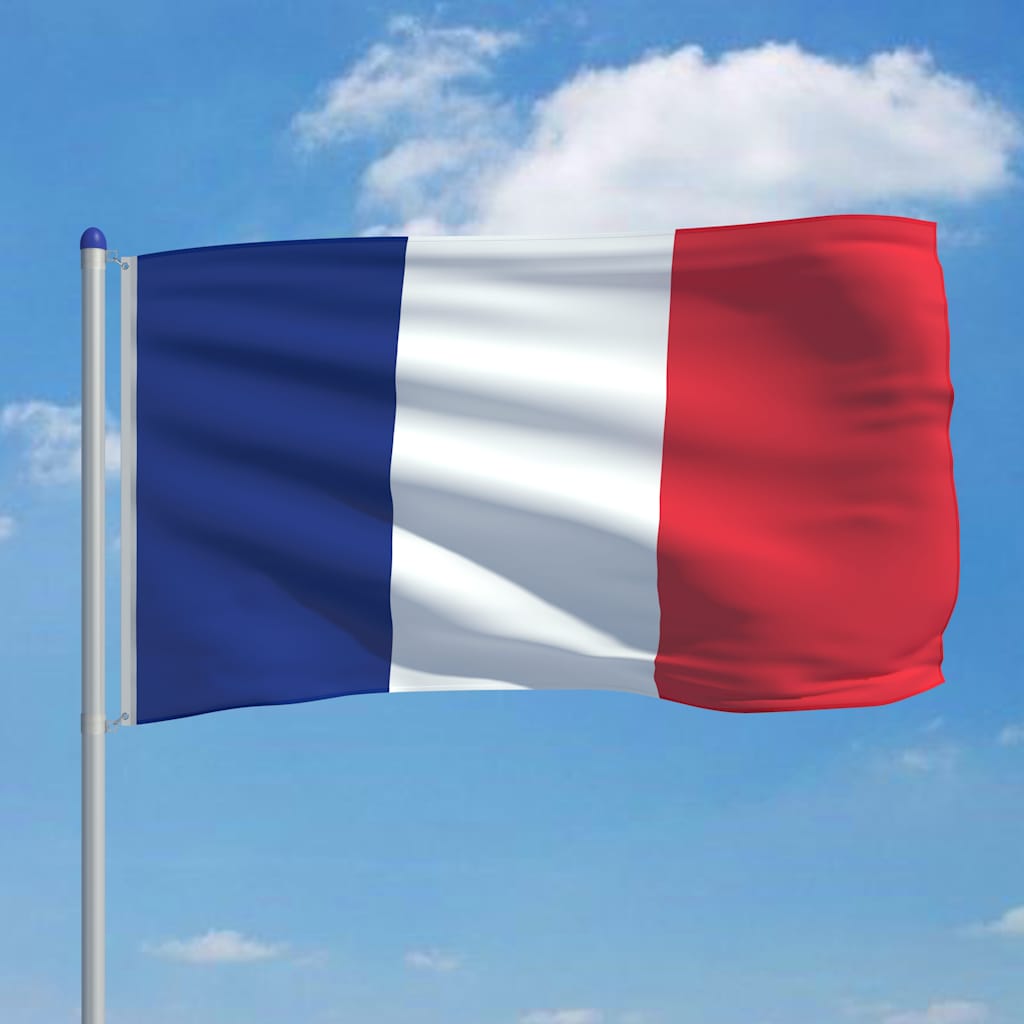 Bandiera della Francia con Pennone in Alluminio 6 m