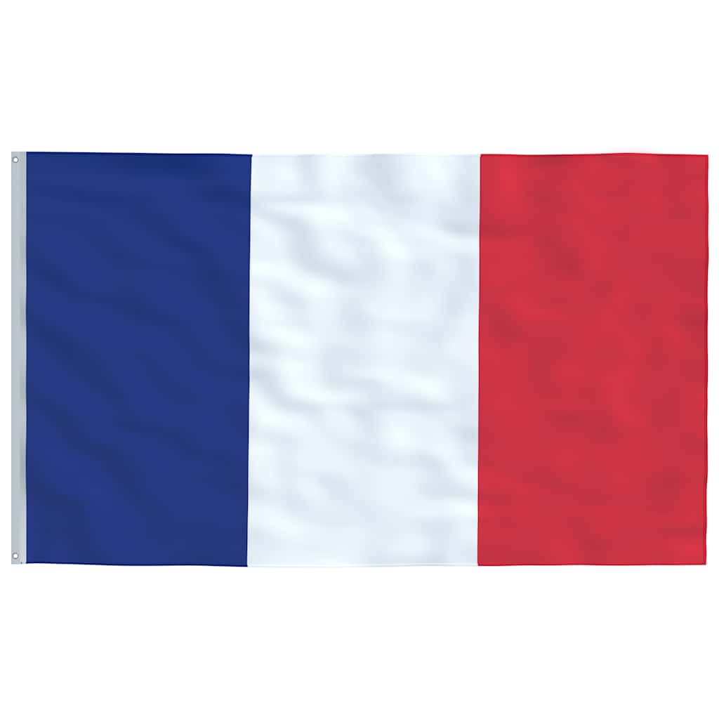 Bandiera della Francia con Pennone in Alluminio 6 m