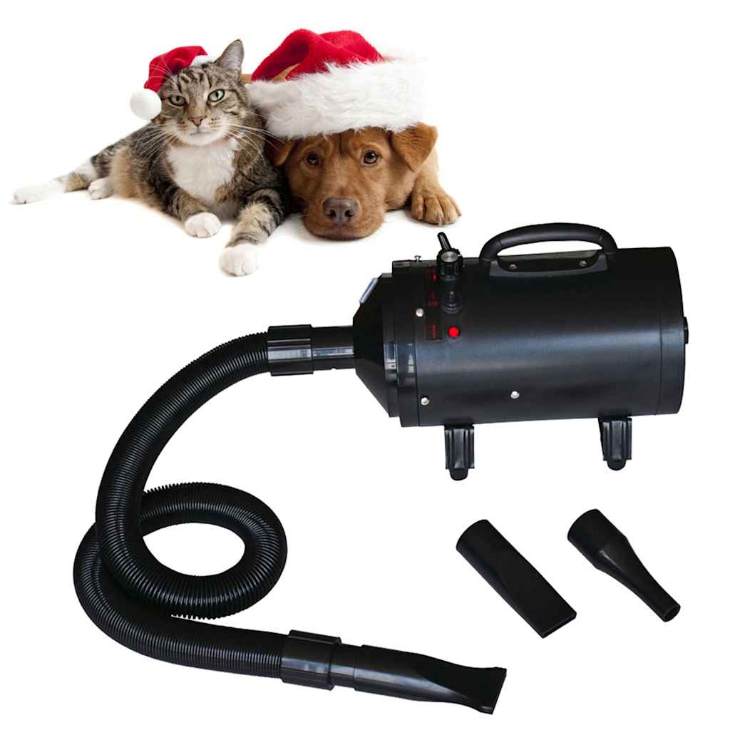 Asciugatore per Cani Motore Singolo Stand Nero Plastica Acciaio