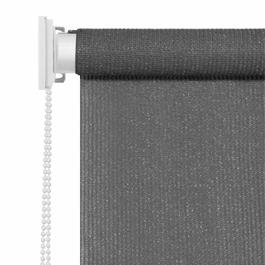 Tenda a Rullo per Esterni 65(L)x230(A) cm Antracite