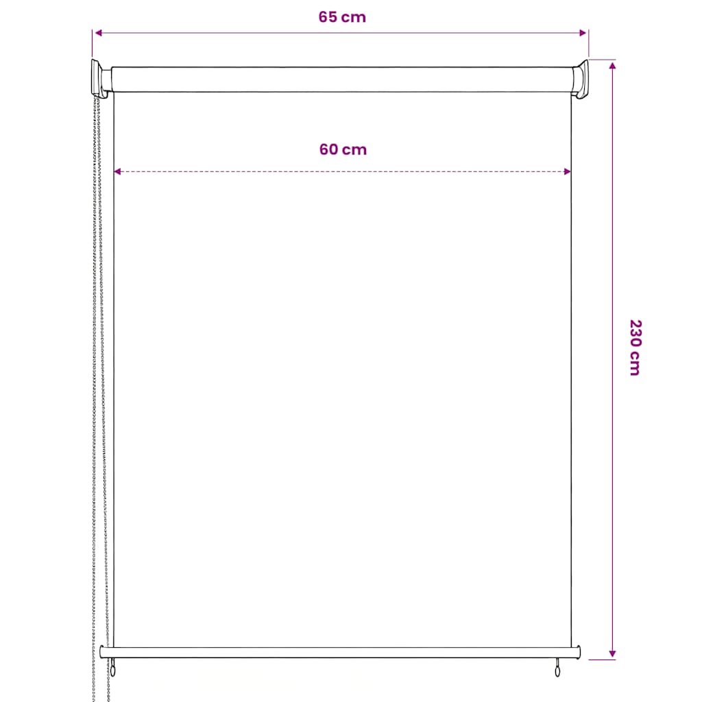 Tenda a Rullo per Esterni 65(L)x230(A) cm Antracite