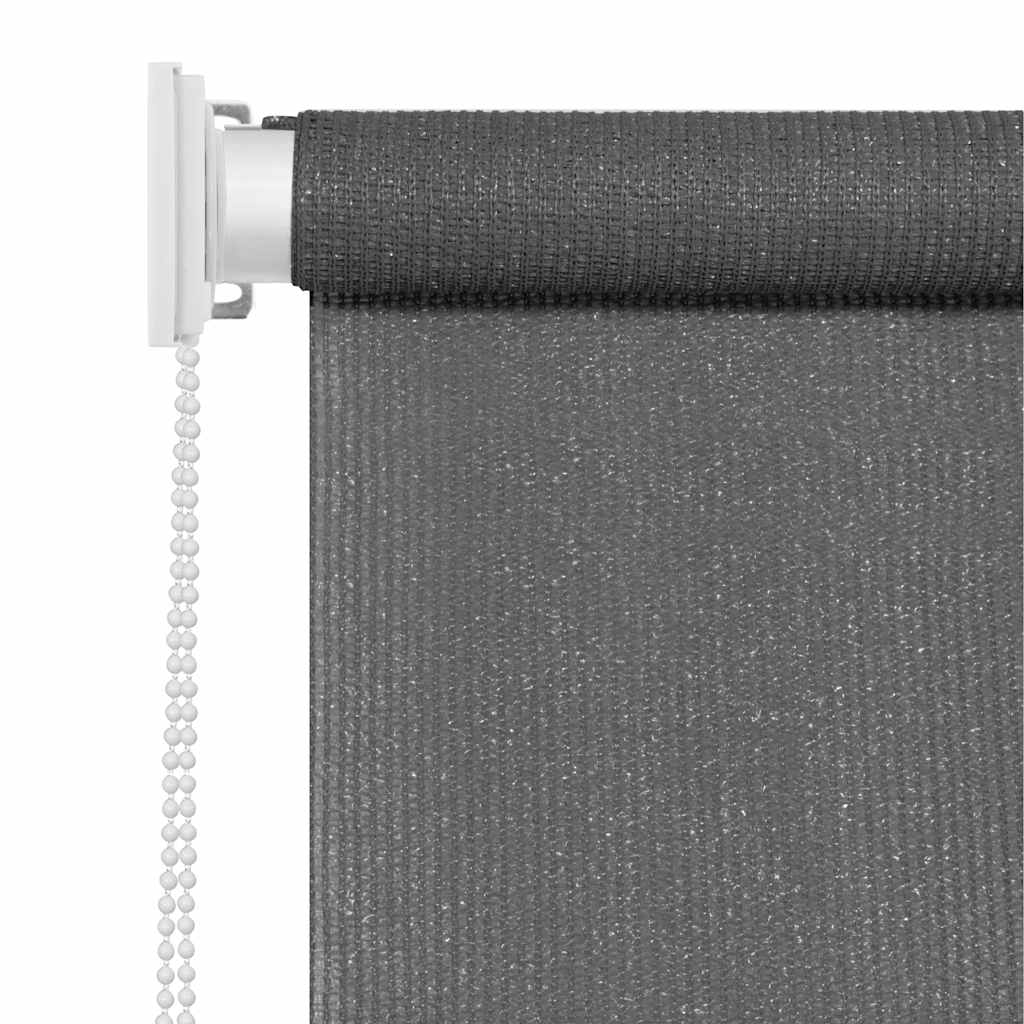 Tenda a Rullo per Esterni 80x230 cm Antracite