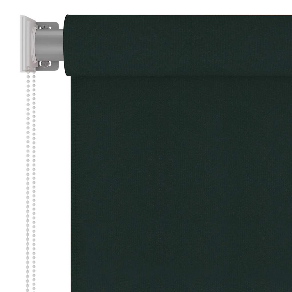Tenda a Rullo per Esterni 65(L)x230(A) cm Verde scuro HDPE