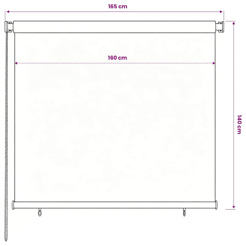Tenda a Rullo per Esterni 165(L)x140(A) cm Blu HDPE