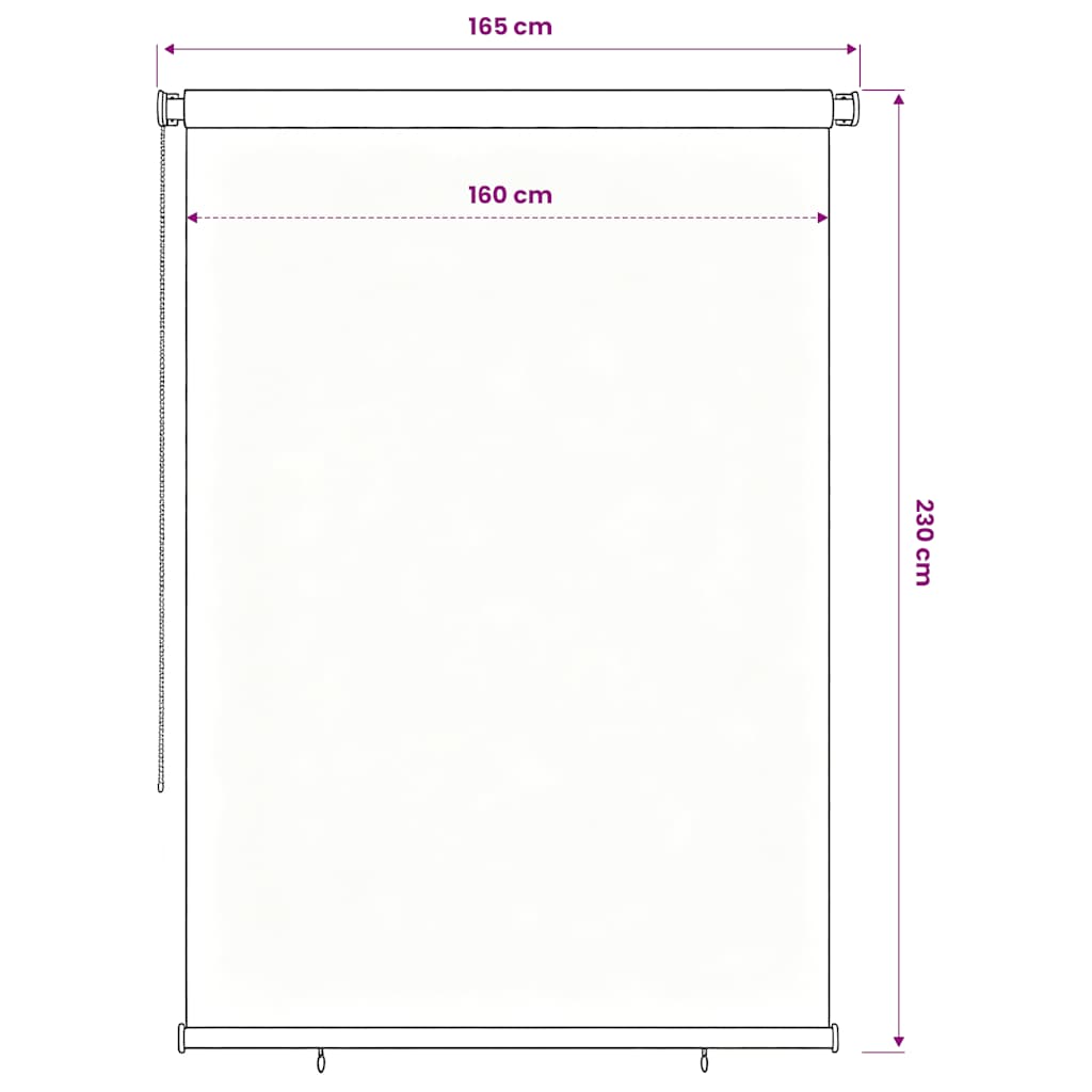 Tenda a Rullo per Esterni 165(L)x230(A) cm Blu HDPE