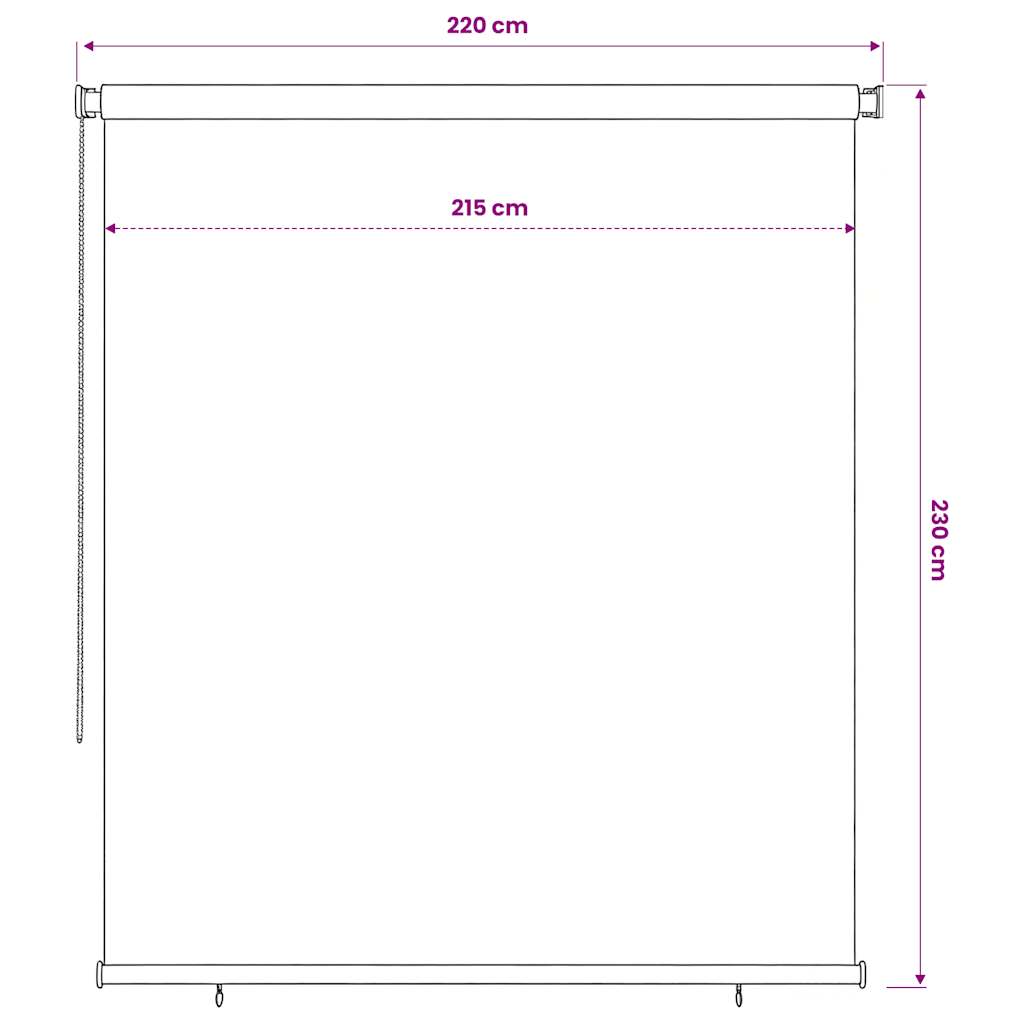 Tenda a Rullo per Esterni 225(L)x230(A) cm Blu HDPE
