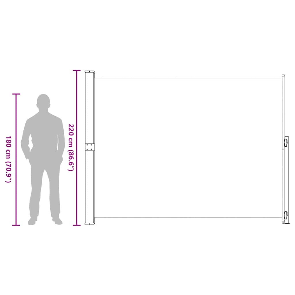 Tenda Laterale Retrattile per Patio 220x314 cm Grigia