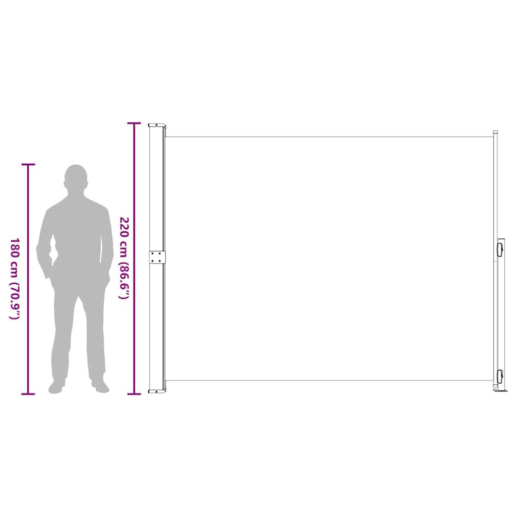 Tenda Laterale Retrattile per Patio 220x314 cm Blu