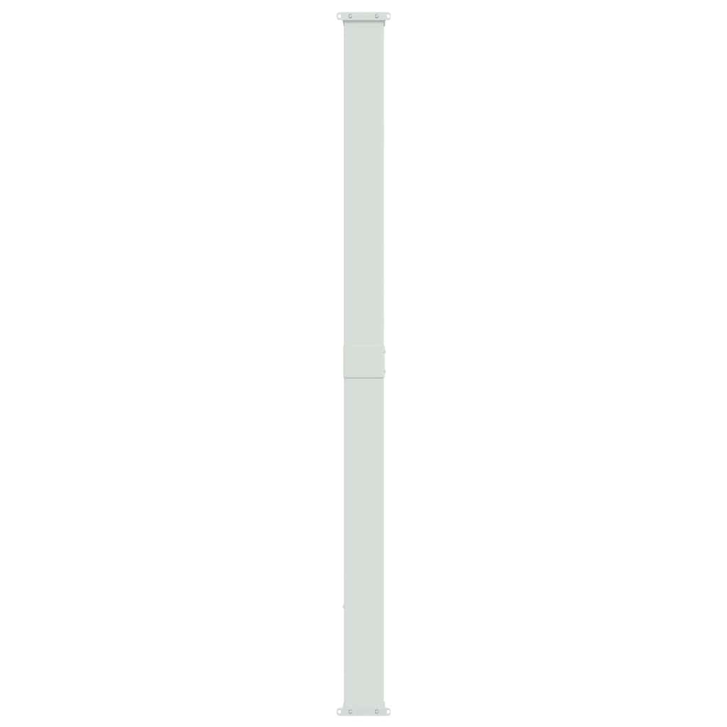 Tenda Laterale Retrattile per Patio 220x314 cm Blu