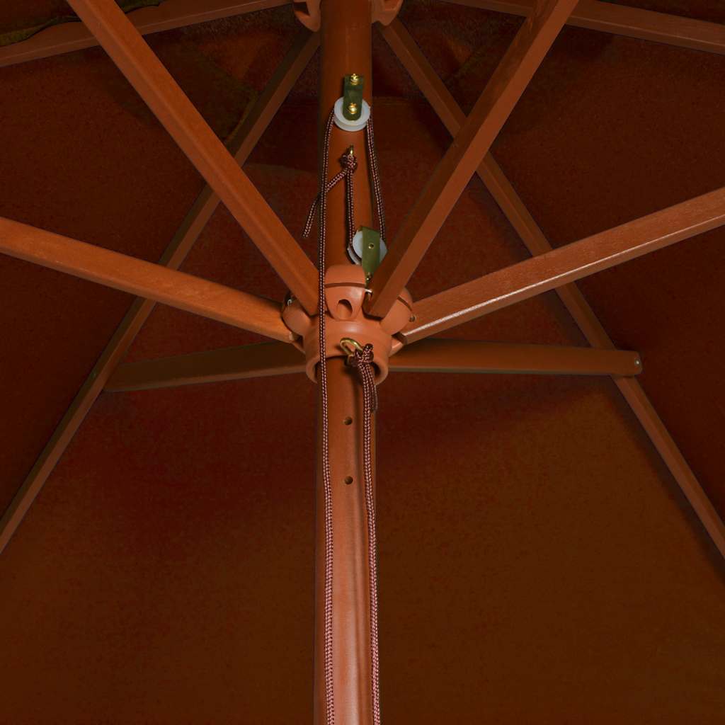 Ombrellone da Giardino con Palo in Legno Terracotta 200x300 cm