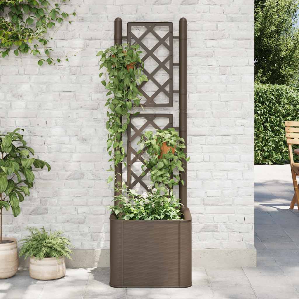 Letto Rialzato da Giardino con Graticcio e Irrigazione Moca
