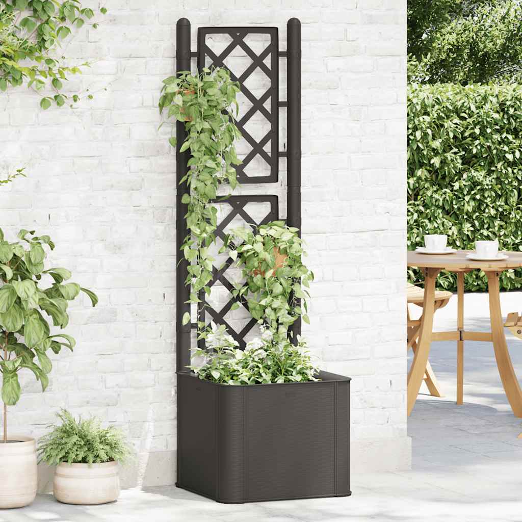 Letto Rialzato da Giardino Graticcio e Irrigazione Antracite
