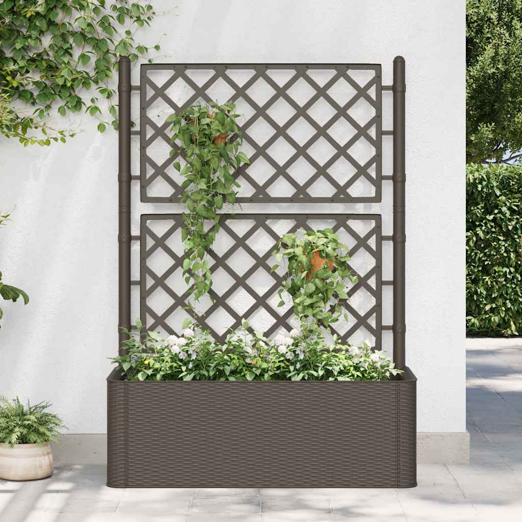 Letto Rialzato da Giardino con Graticcio e Irrigazione Moca