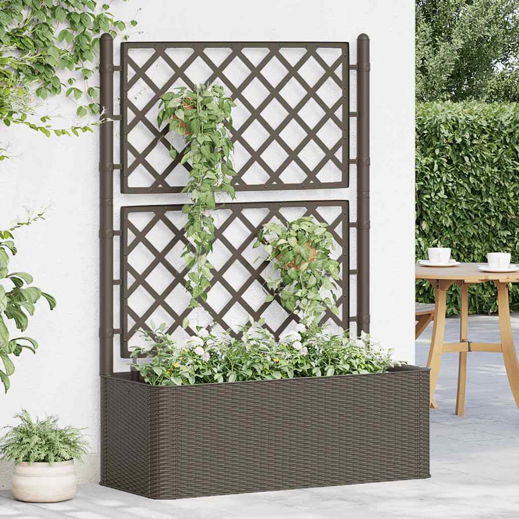 Letto Rialzato da Giardino con Graticcio e Irrigazione Moca