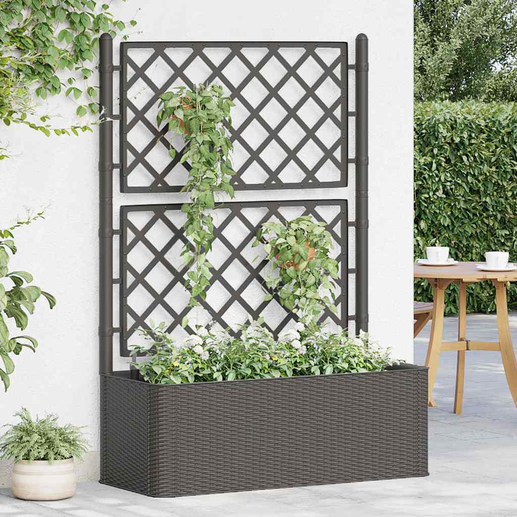 Letto Rialzato da Giardino Graticcio e Irrigazione Antracite
