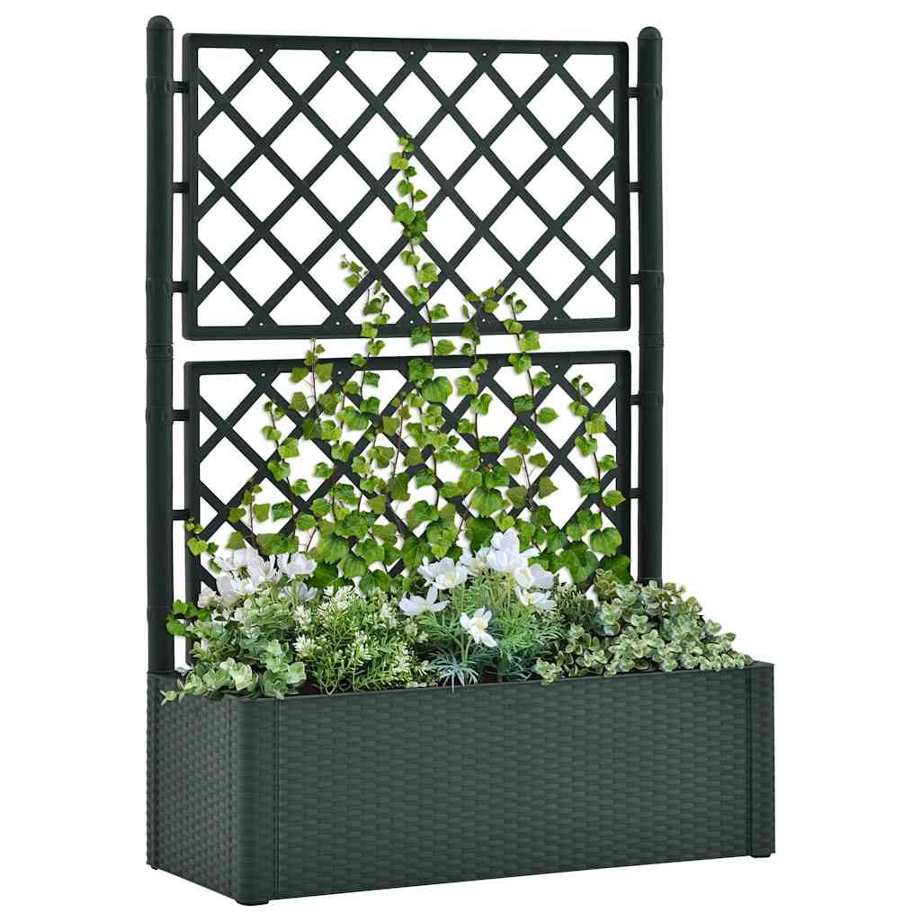 Letto Rialzato da Giardino con Graticcio e Irrigazione Verde