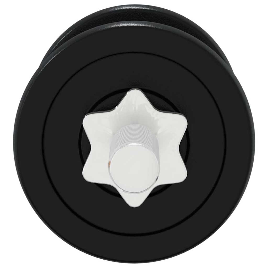 Set Bilanciere e Manubri con Dischi 90 kg in Ghisa