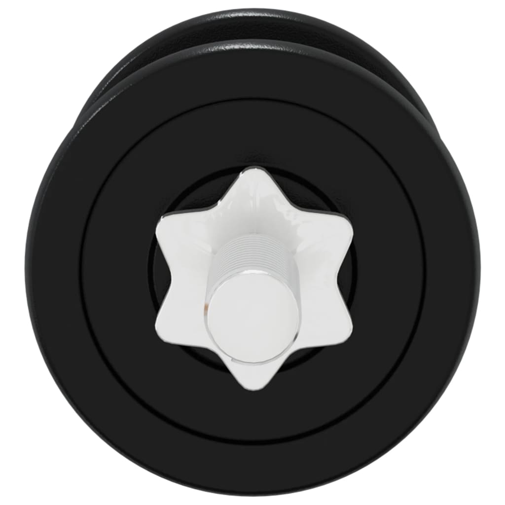 Set Bilanciere e Manubri con Dischi 90 kg in Ghisa