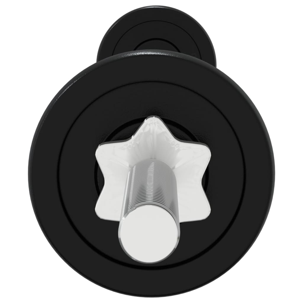 Set Bilanciere e Manubri con Dischi 120 kg in Ghisa
