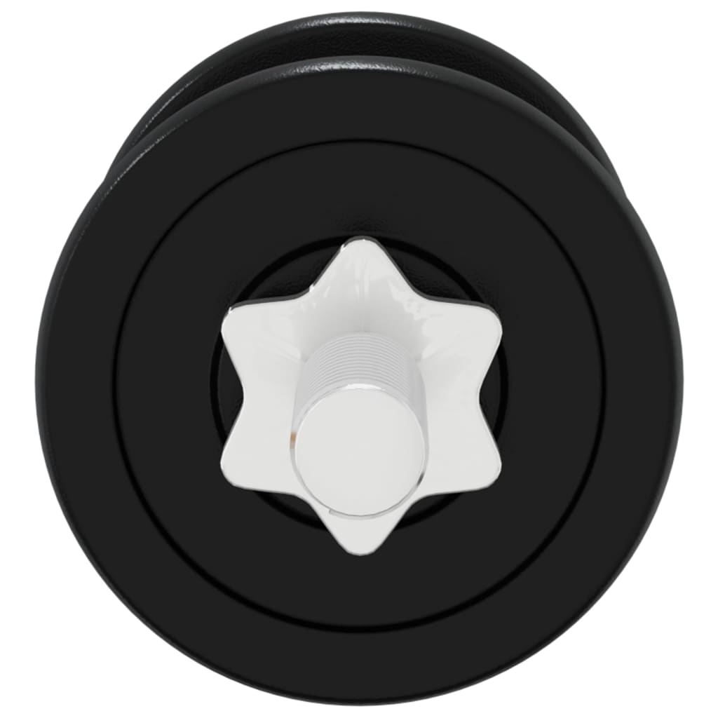 Set Bilanciere e Manubri con Dischi 120 kg in Ghisa