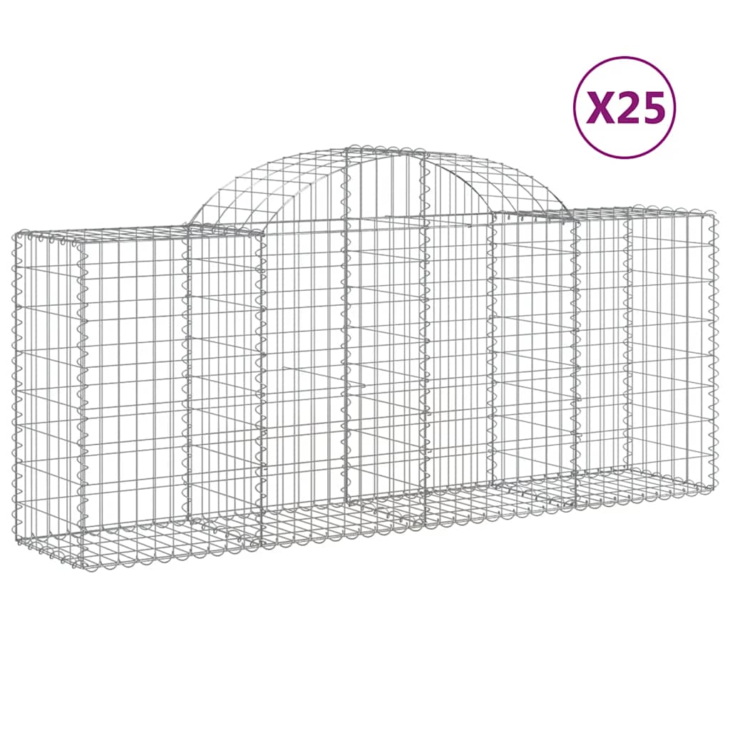 Cesti Gabbioni ad Arco 25 pz 200x50x80/100 cm Ferro Zincato