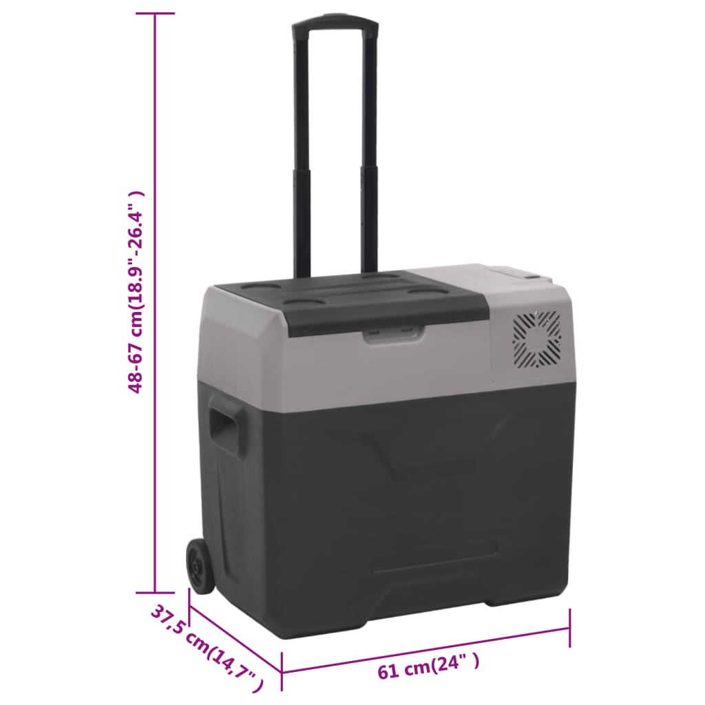 Borsa Frigo con Ruote Adattatore Nera Grigia 40 L Polipropilene