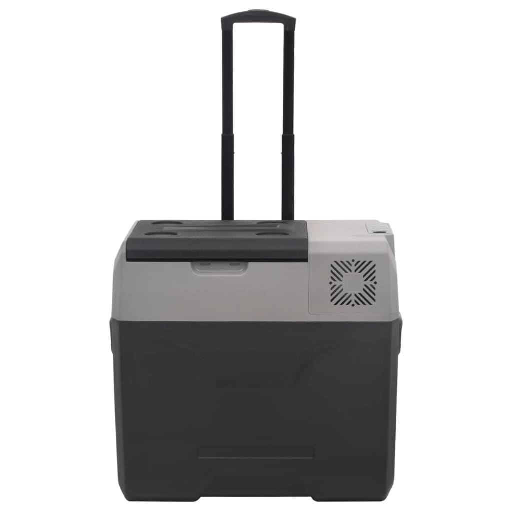 Borsa Frigo con Ruote Adattatore Nera Grigia 40 L Polipropilene