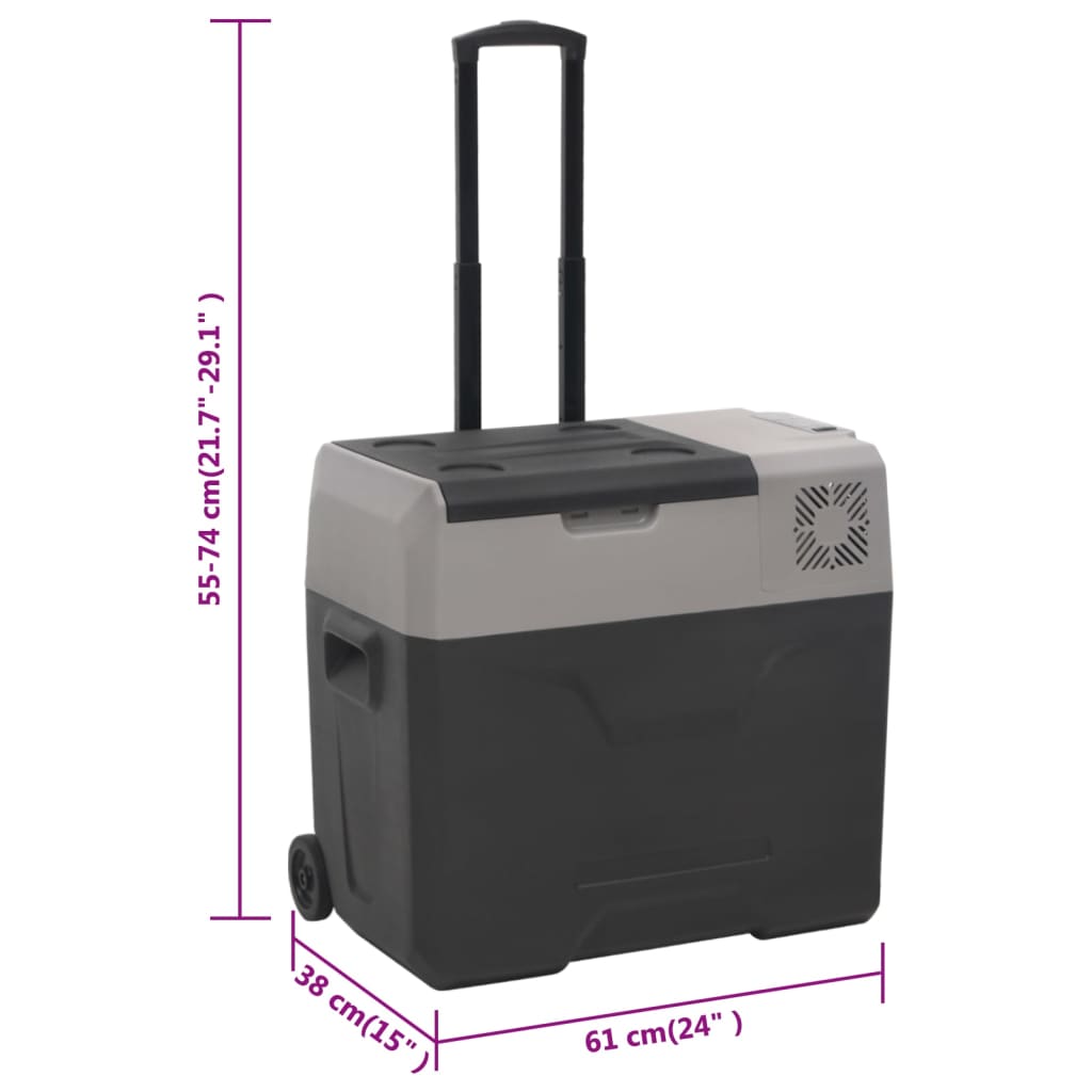 Borsa Frigo con Ruote Adattatore Nera Grigia 50 L Polipropilene