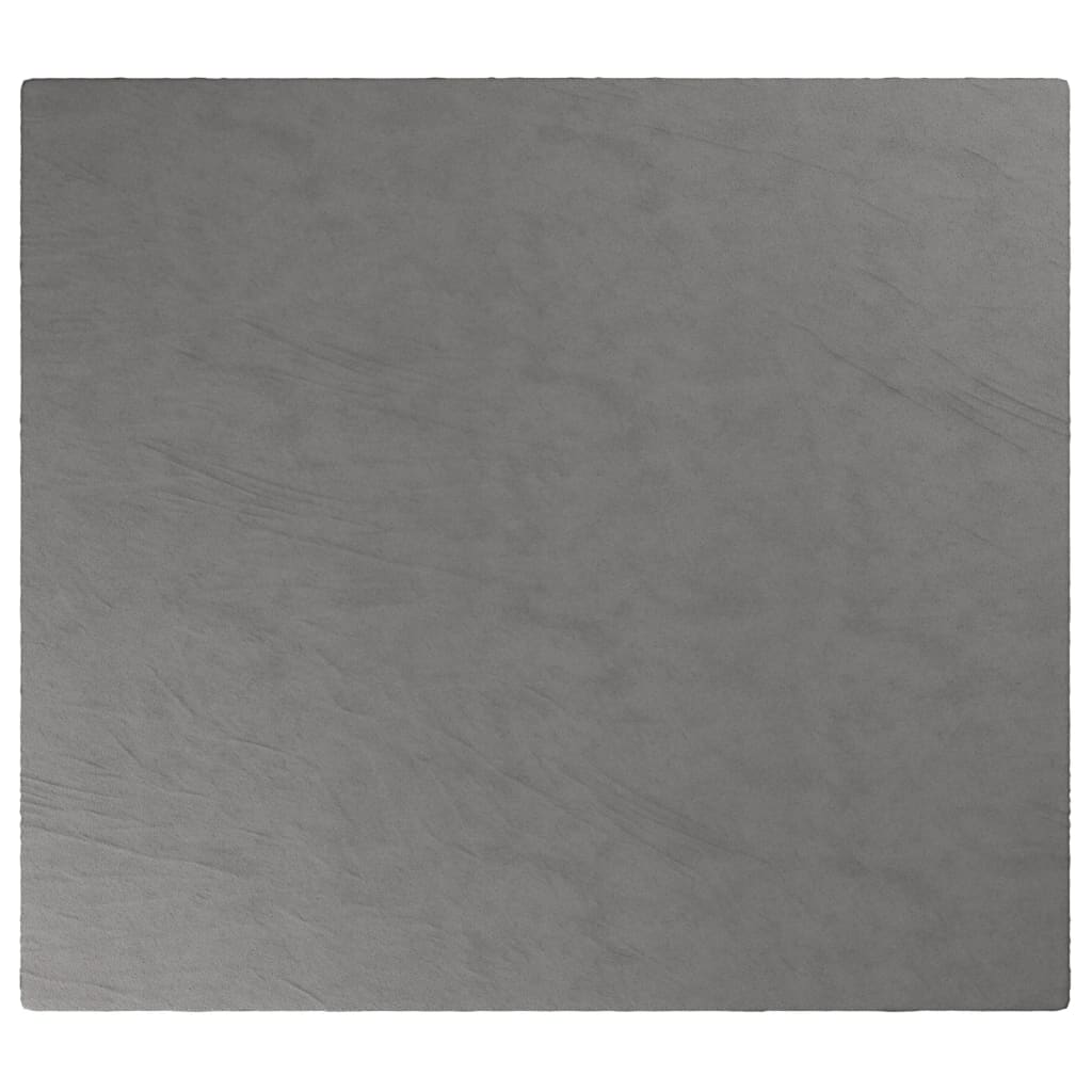 Coperta Ponderata con Copertura Grigia 200x230 cm 13 kg Tessuto