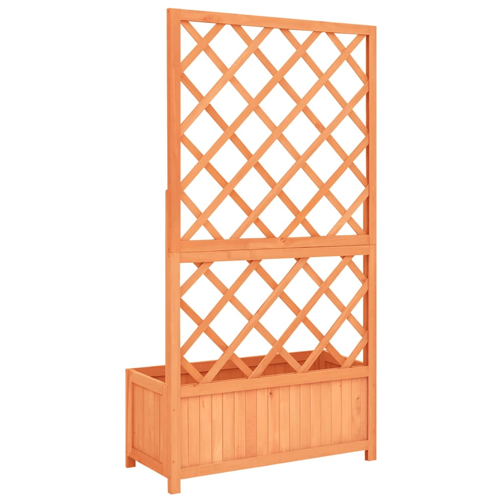 Fioriera con Traliccio Marrone 70x30x135 cm in Massello di Abete