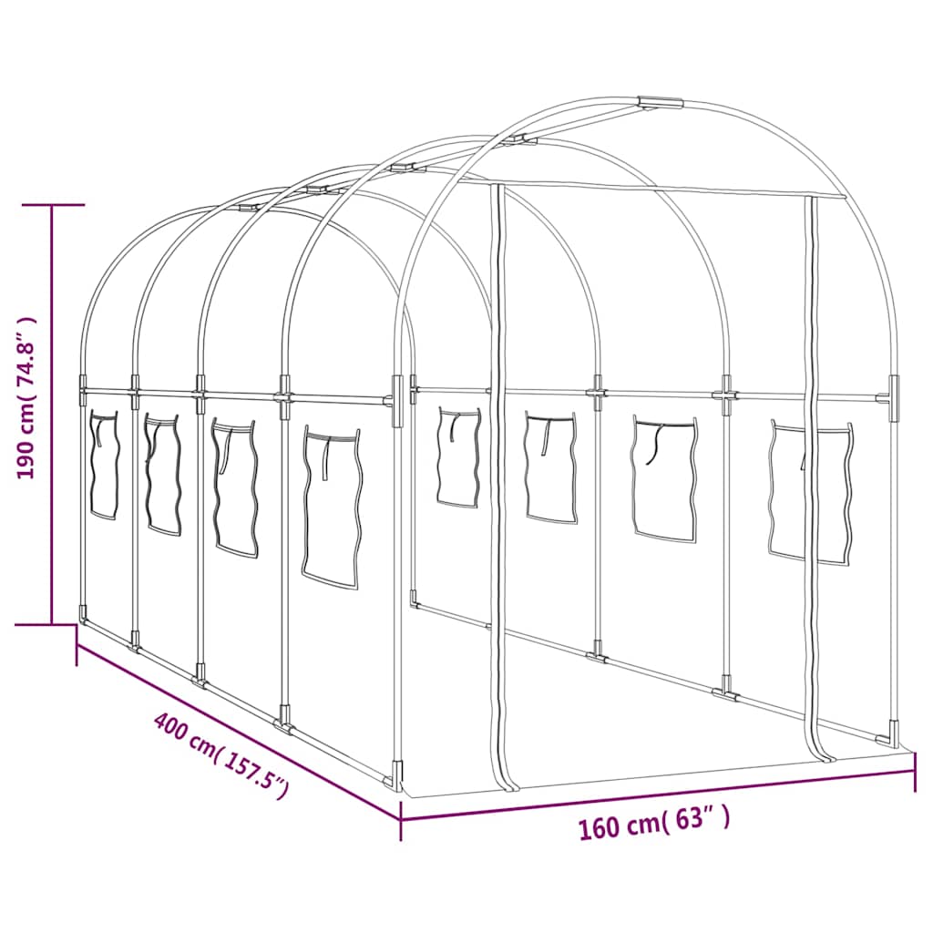 Serra Trasparente 160x400x190 cm PVC Acciaio Verniciato Polvere