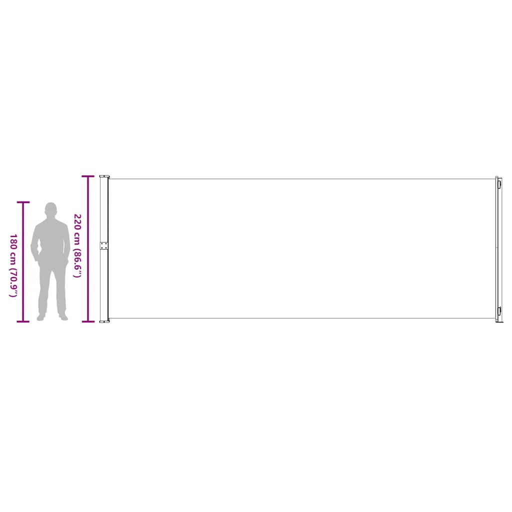 Tenda Laterale Retrattile per Patio 220x614 cm Nera