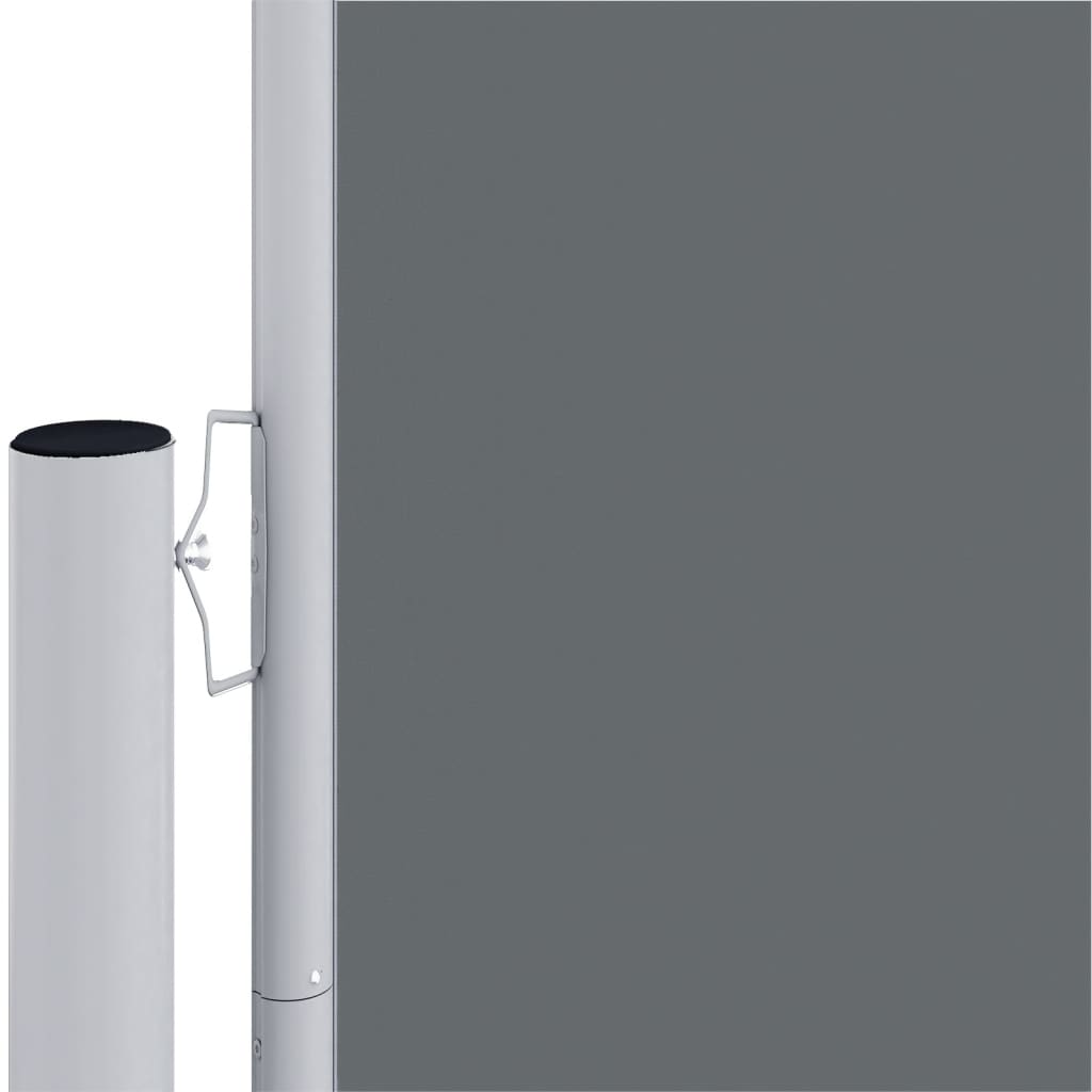 Tenda Laterale Retrattile Antracite 160x1000 cm