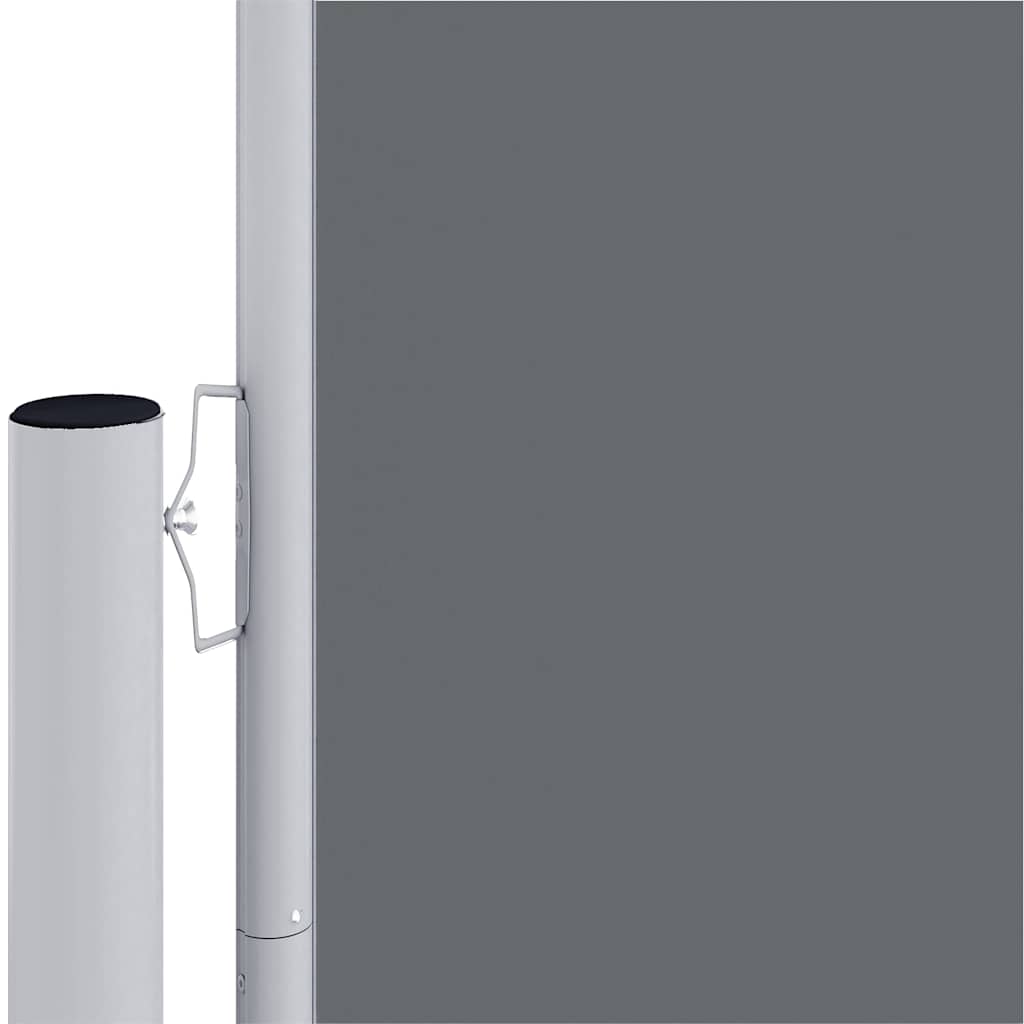 Tenda da Sole Laterale Retrattile Antracite 220x1000 cm