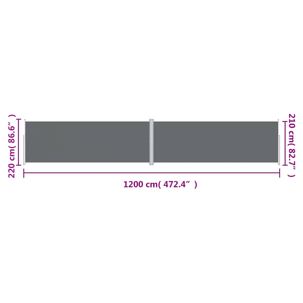 Tenda da Sole Laterale Retrattile Antracite 220x1200 cm