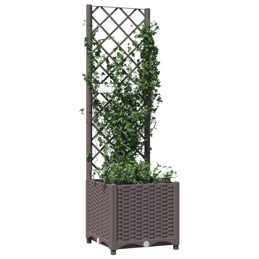 Fioriera da Giardino con Graticcio Marrone 40x40x136 cm in PP