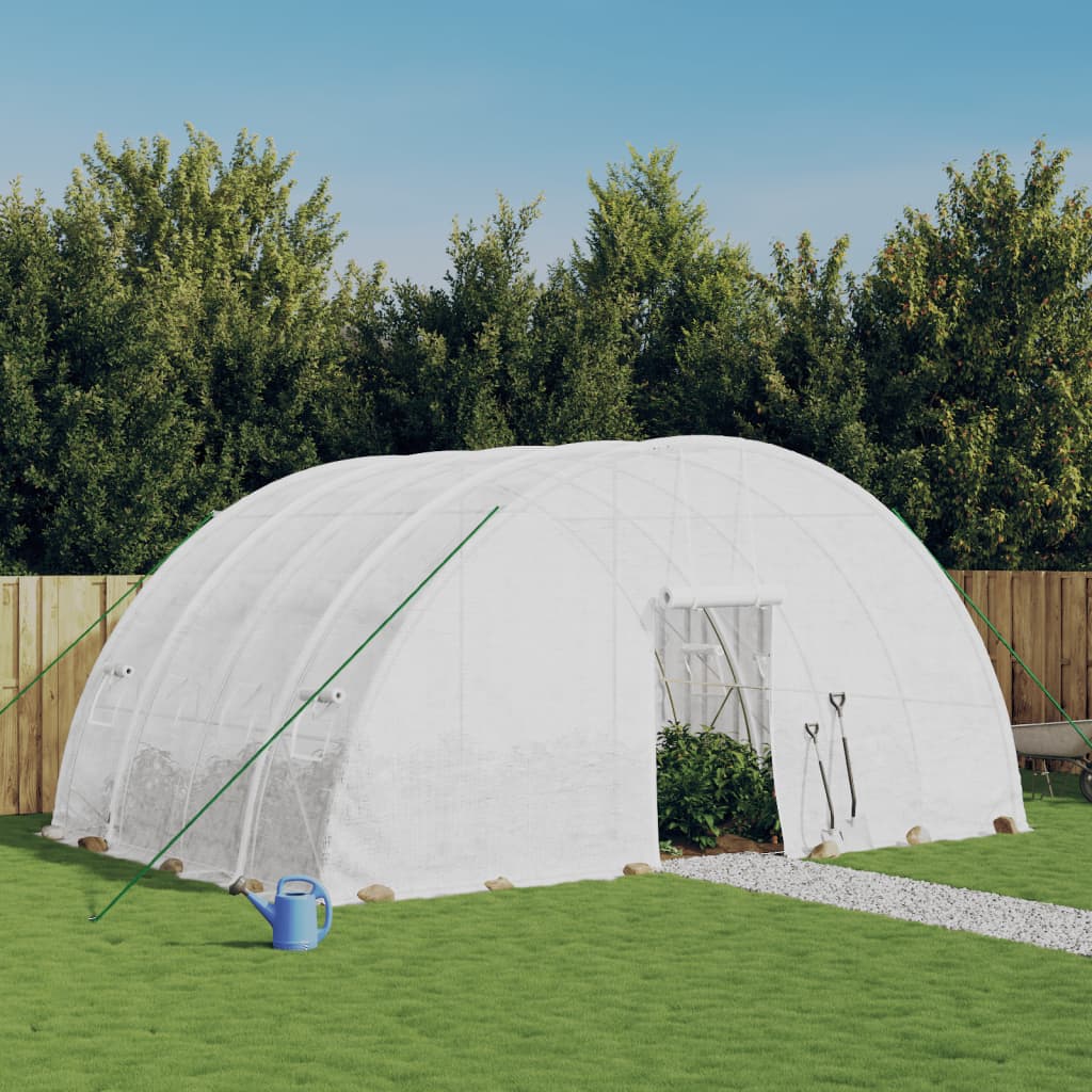 Serra con struttura in acciaio bianca 24 m² 6x4x2,85 m