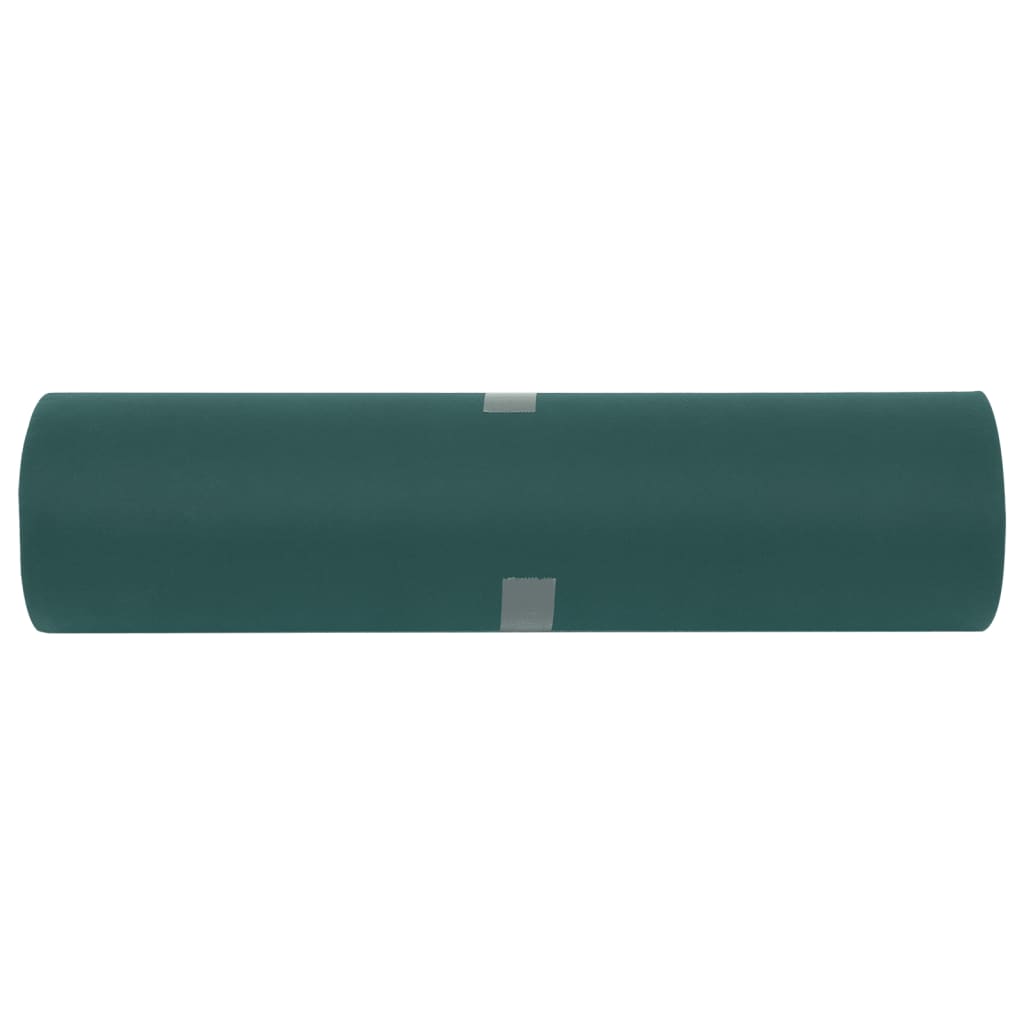 Copertura per Piante 2 Rotoli 70 g/m² 50x1,6 m