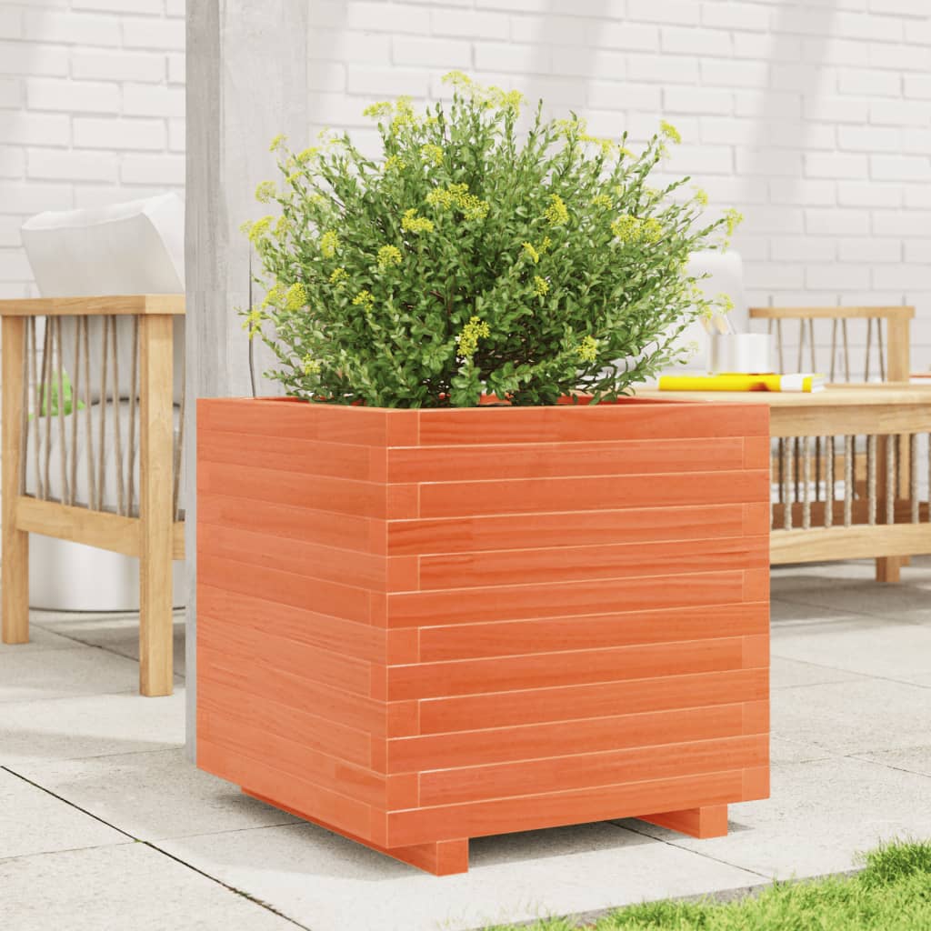 Fioriera Giardino Marrone Cera 50x50x49,5cm Legno Massello Pino