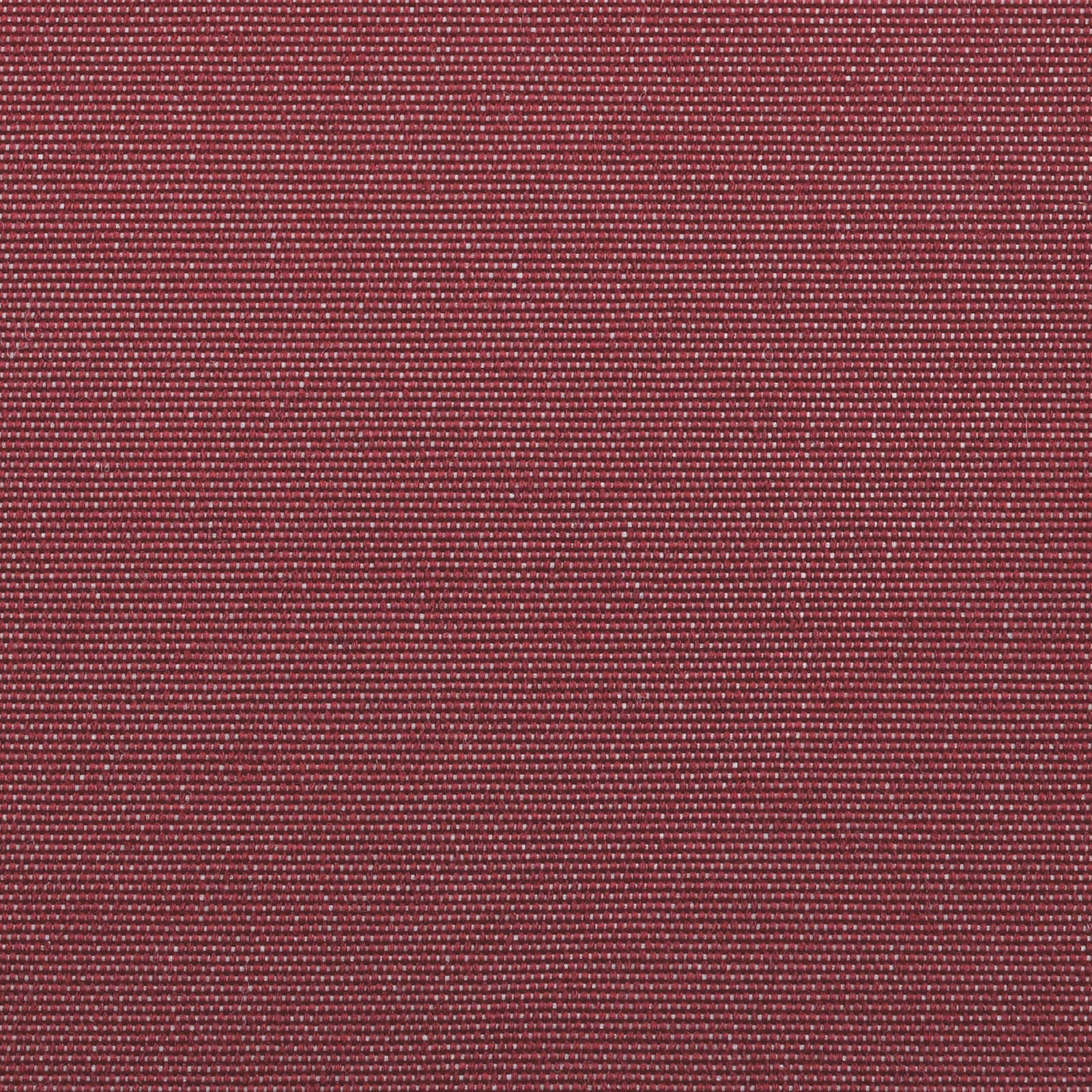 Struttura della tenda Borgogna 500 × 300 cm