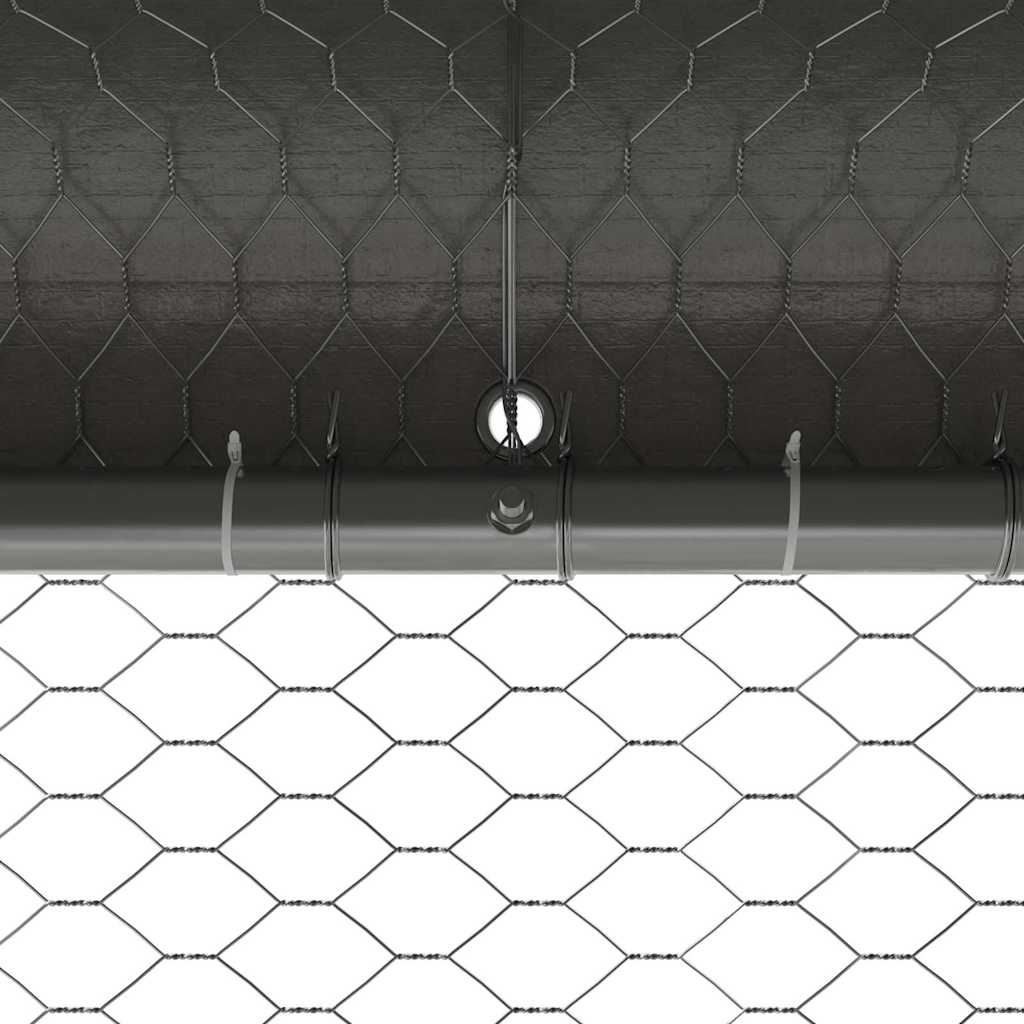 Gabbia per polli con 3 porte 3 pz Argento 600x200x200cm