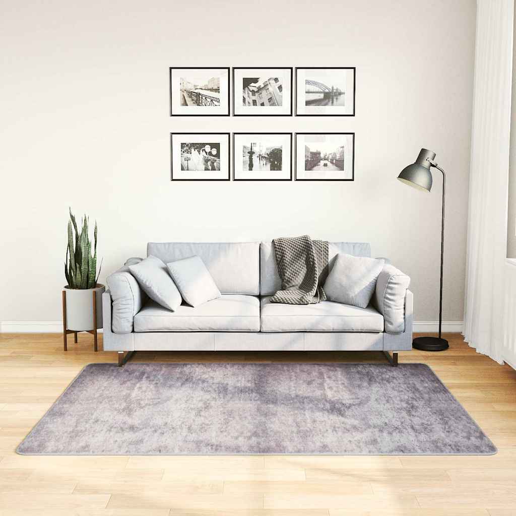 Tappeto Lavabile 120x180 cm Grigio