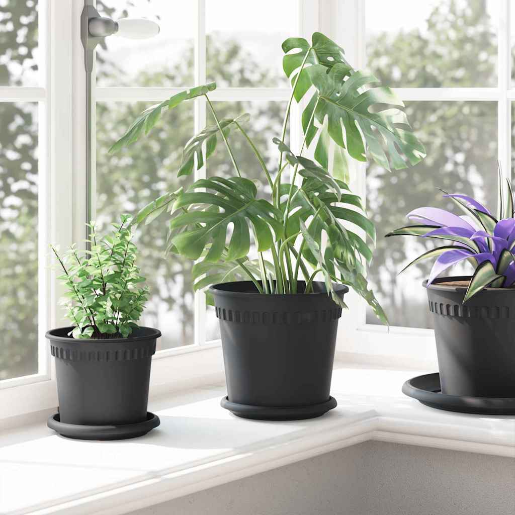 Vasi per Piante 6 pz Nero Plastica