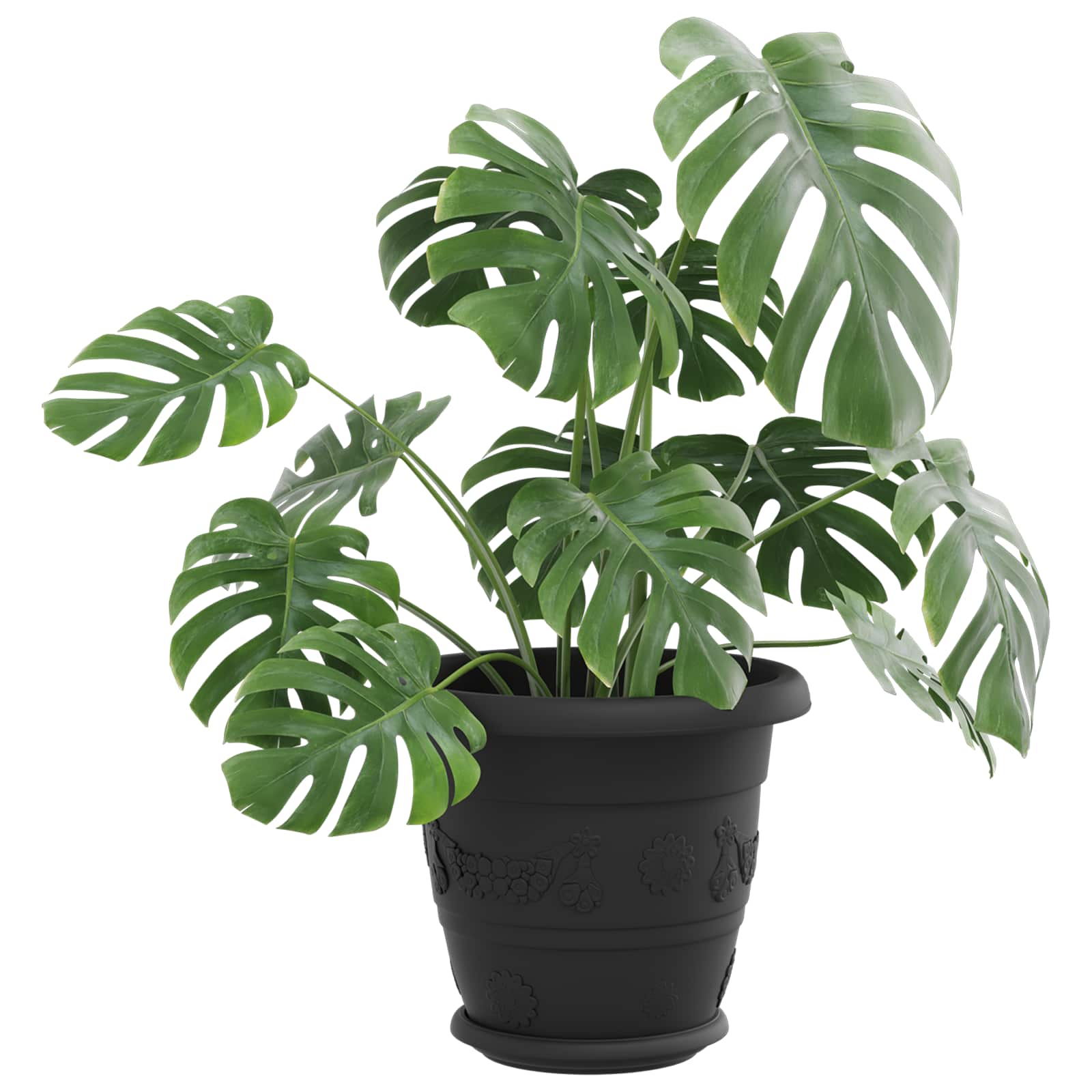 Vasi per Piante 6 pz Nero Ø 22 x 18 cm Plastica