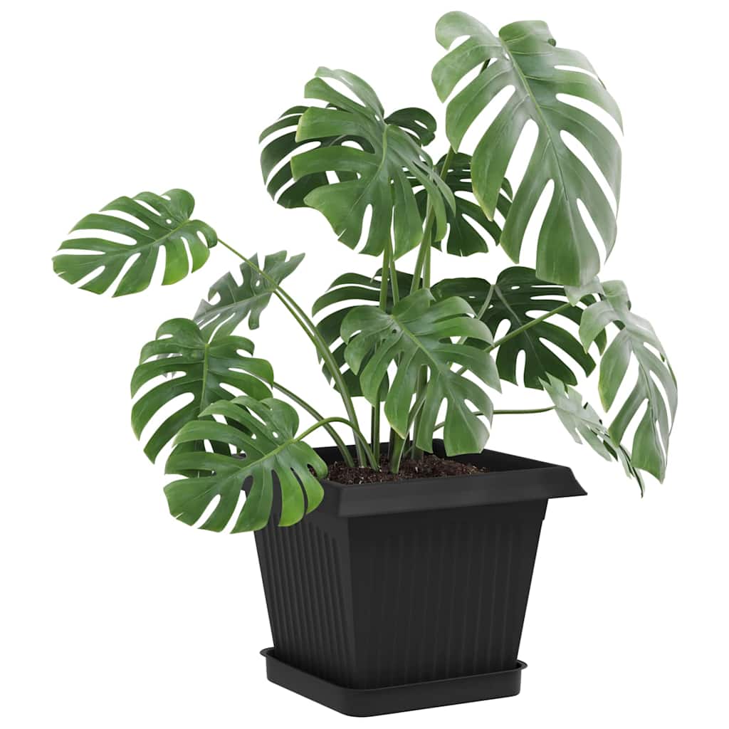 Vasi per Piante 6 pz Nero Plastica