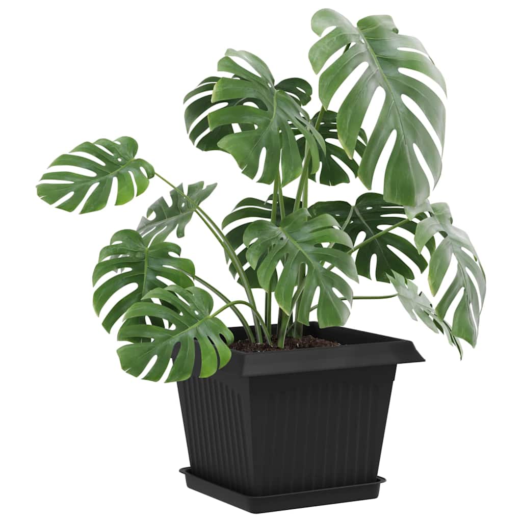Vasi per Piante 6 pz Nero Plastica