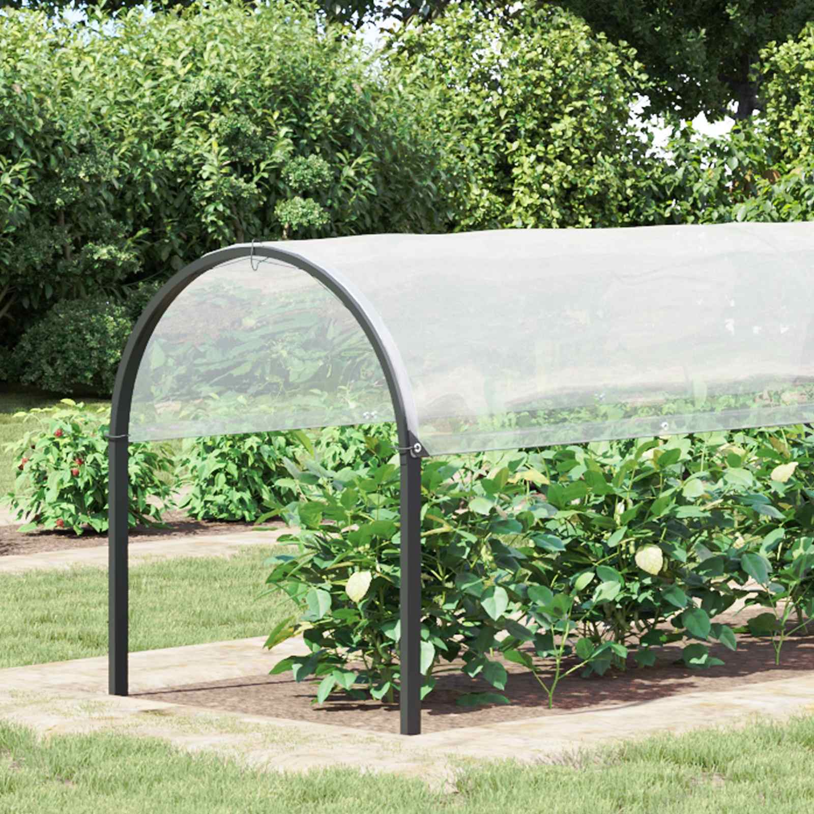 Copertura per Piante Trasparente 2 x 12 m PE