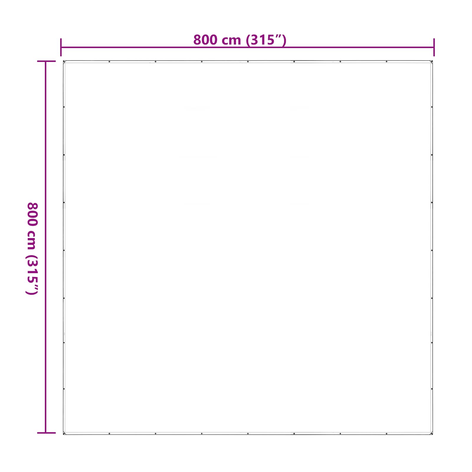 Copertura per Piante Trasparente 8 x 8 m PE