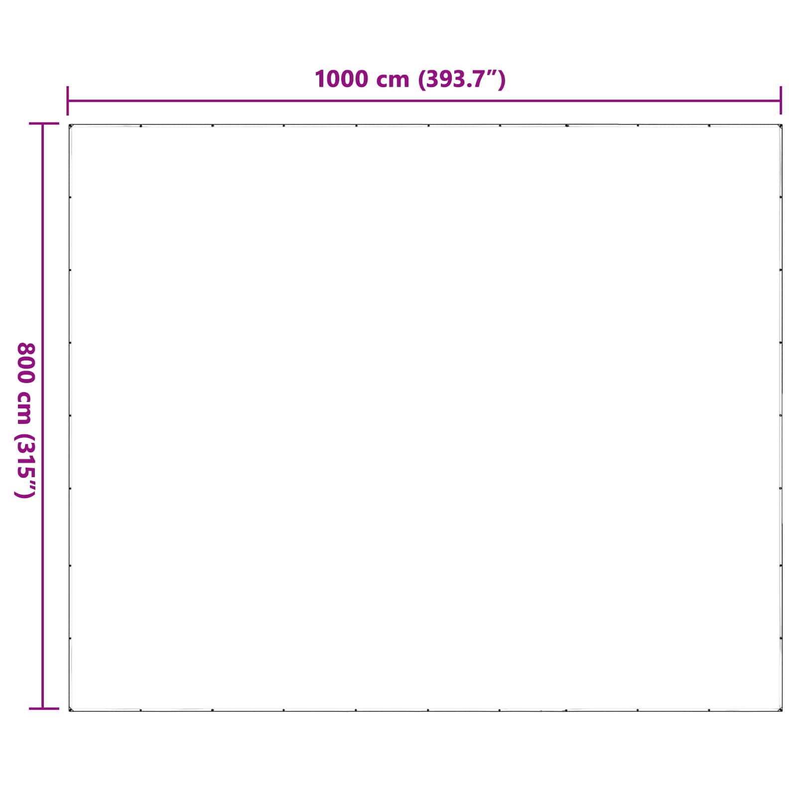 Copertura per Piante Trasparente 8 x 10 m PE